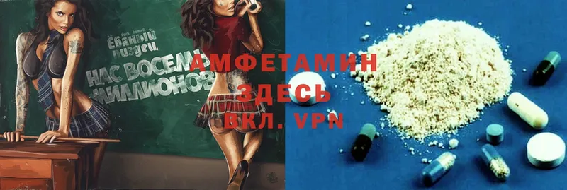 Amphetamine Premium  дарнет шоп  Гурьевск 