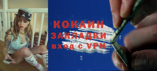 индика Покровск