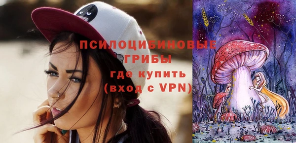 Альфа ПВП Пересвет