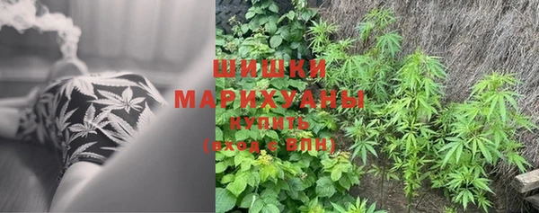 мдпв Покачи