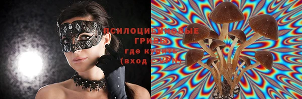 Альфа ПВП Пересвет