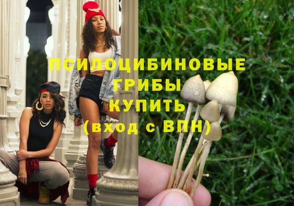 экстази Грязовец
