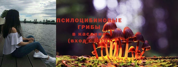 ешки Переславль-Залесский