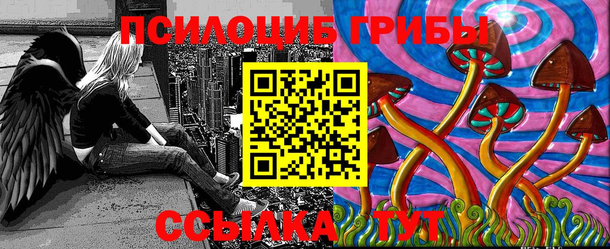 Гурьевск  Псилоцибиновые грибы мухоморы  Вход с VPN  Псилоцибиновые грибы Psilocybine cubensis 