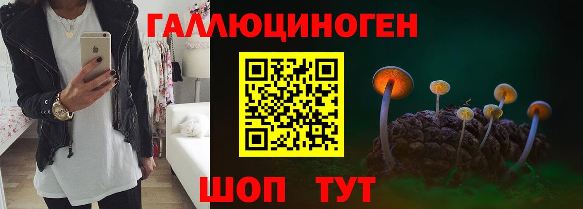 Псилоцибиновые грибы GOLDEN TEACHER  Гурьевск 